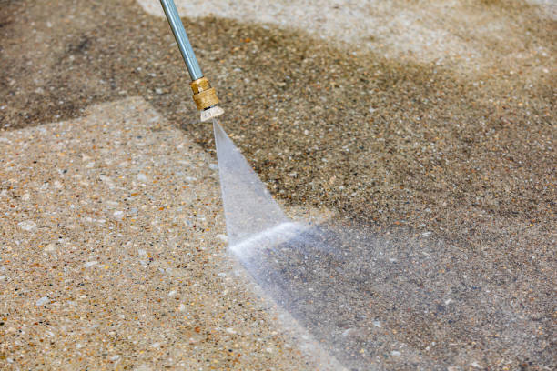 Best Driveway Pressure Washing  in Helemano, HI